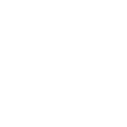Product Portfolio